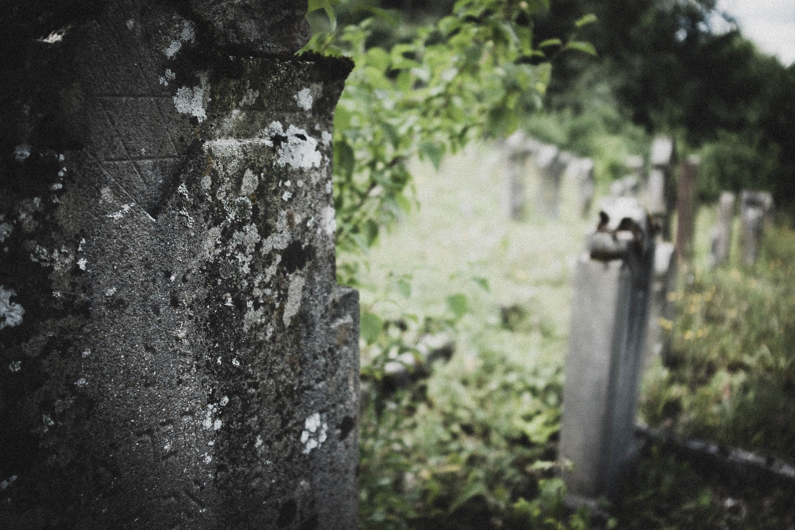 Spangenberg, Jüdischer Friedhof